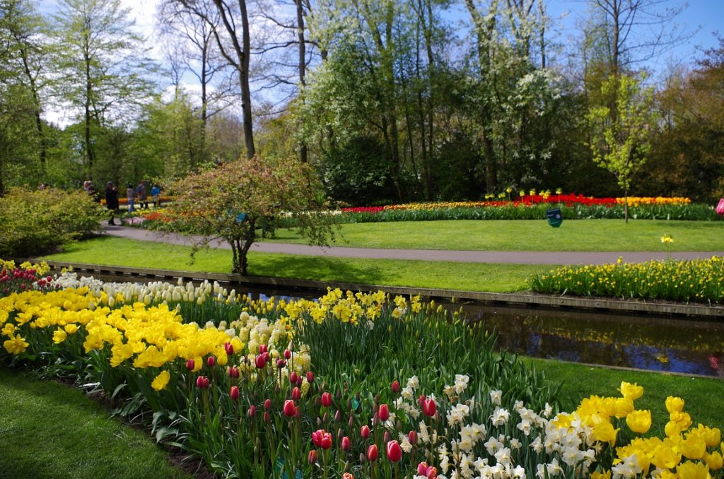 2017_0422_052224.JPG - Keukenhof Lisse