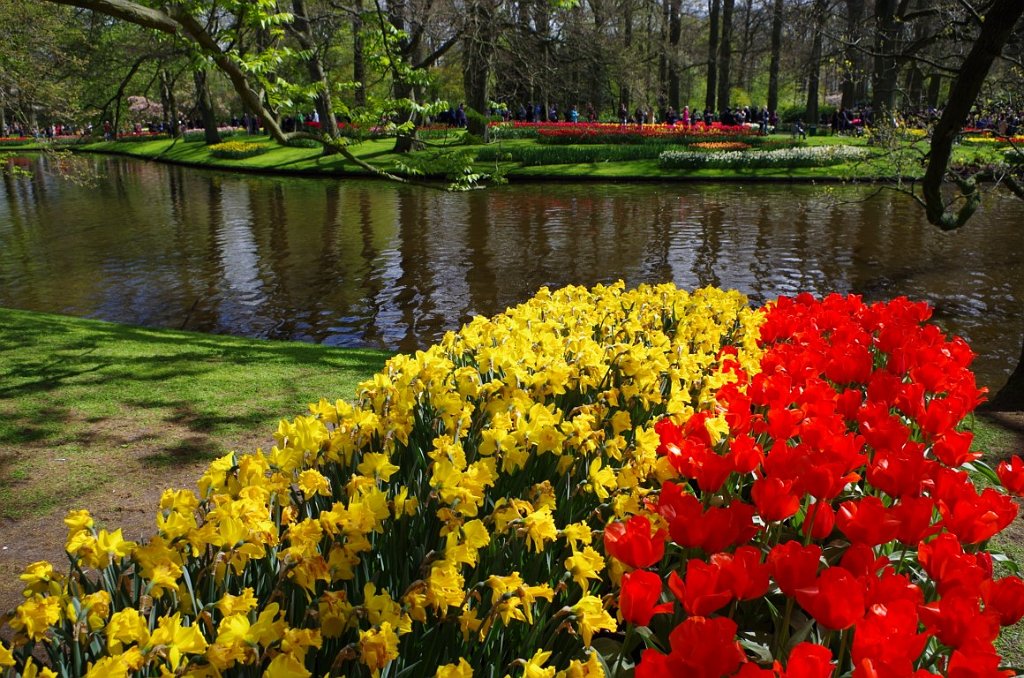 2017_0422_052829.JPG - Keukenhof Lisse