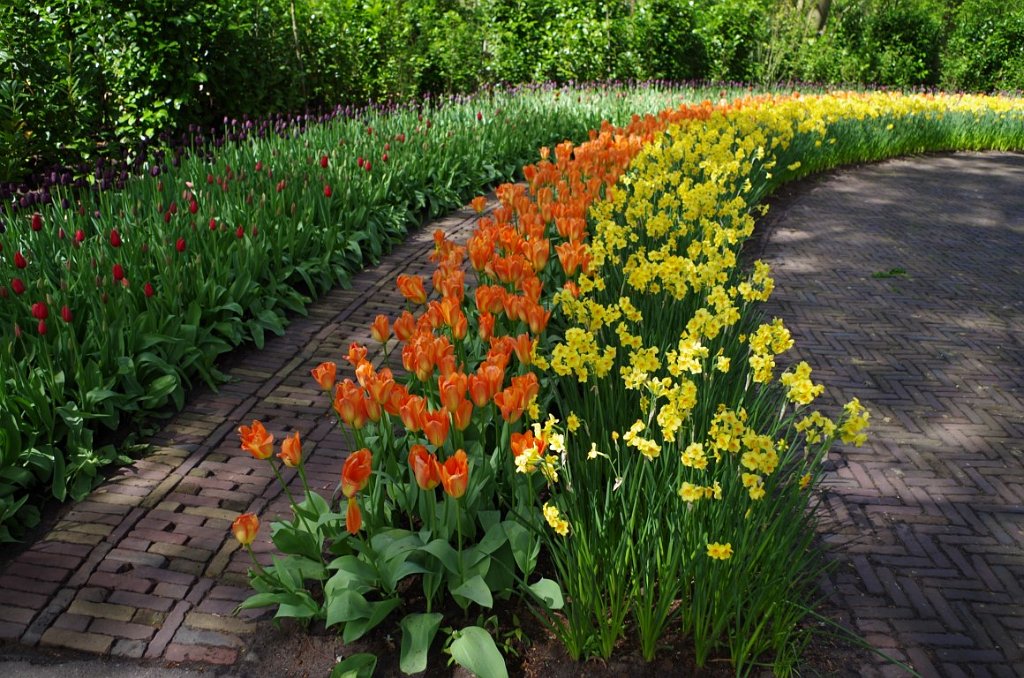 2017_0422_053051.JPG - Keukenhof Lisse