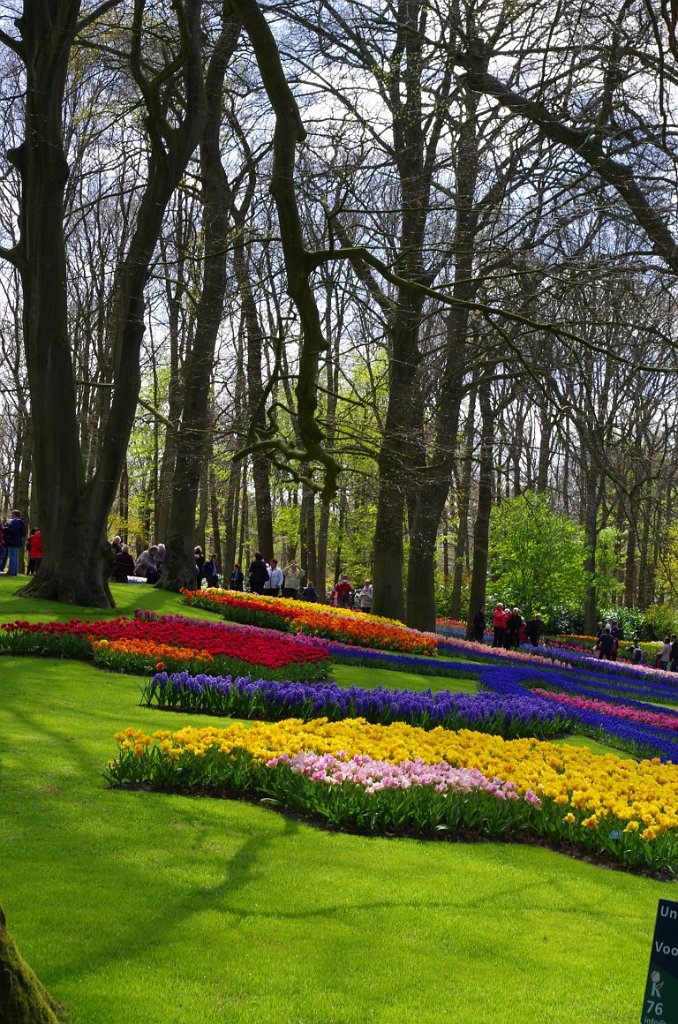 2017_0422_053819.JPG - Keukenhof Lisse