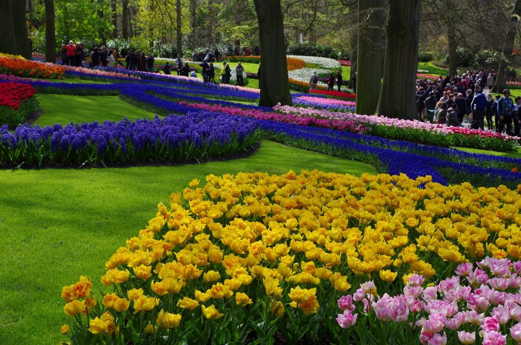 2017_0422_053834.JPG - Keukenhof Lisse