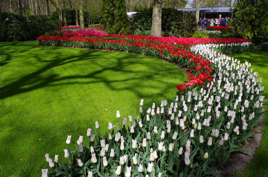 2017_0422_054246.JPG - Keukenhof Lisse