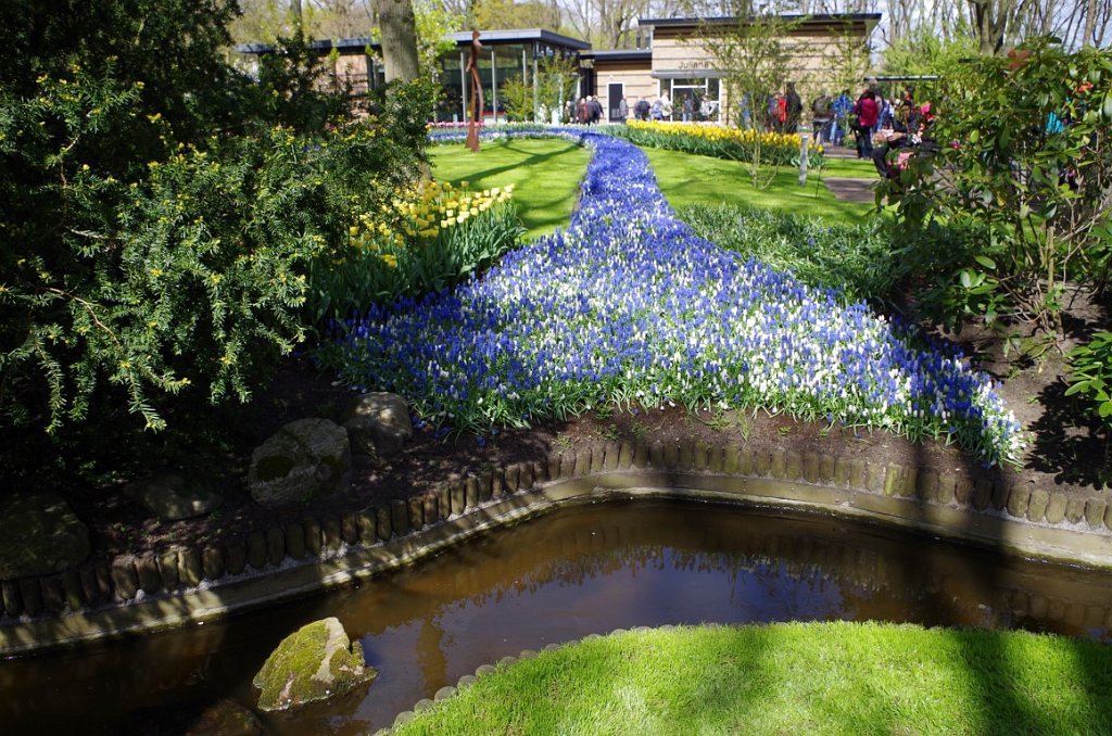 2017_0422_054415.JPG - Keukenhof Lisse