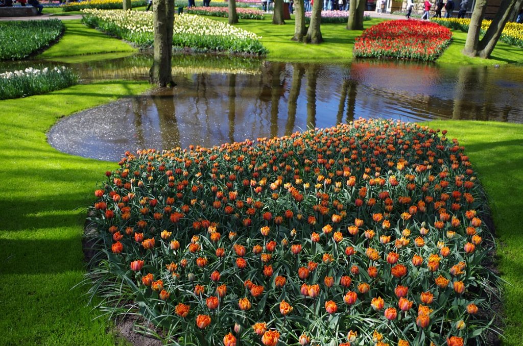 2017_0422_054613.JPG - Keukenhof Lisse