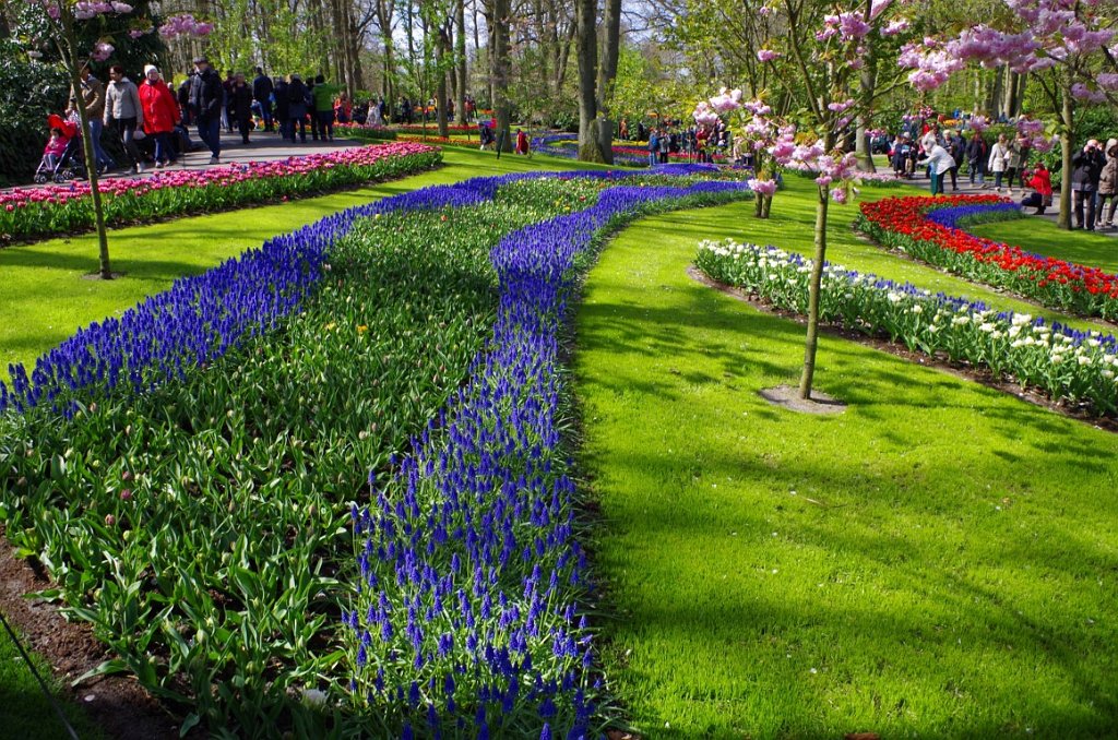 2017_0422_055140.JPG - Keukenhof Lisse