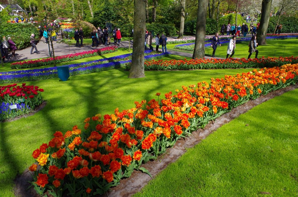 2017_0422_055329.JPG - Keukenhof Lisse