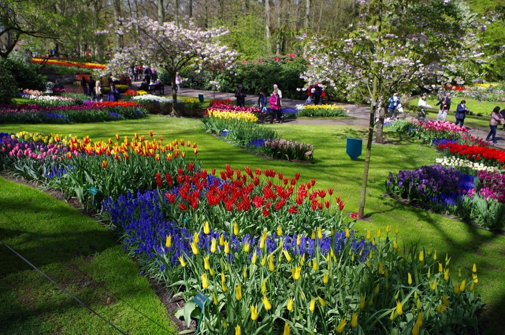 2017_0422_055441.JPG - Keukenhof Lisse