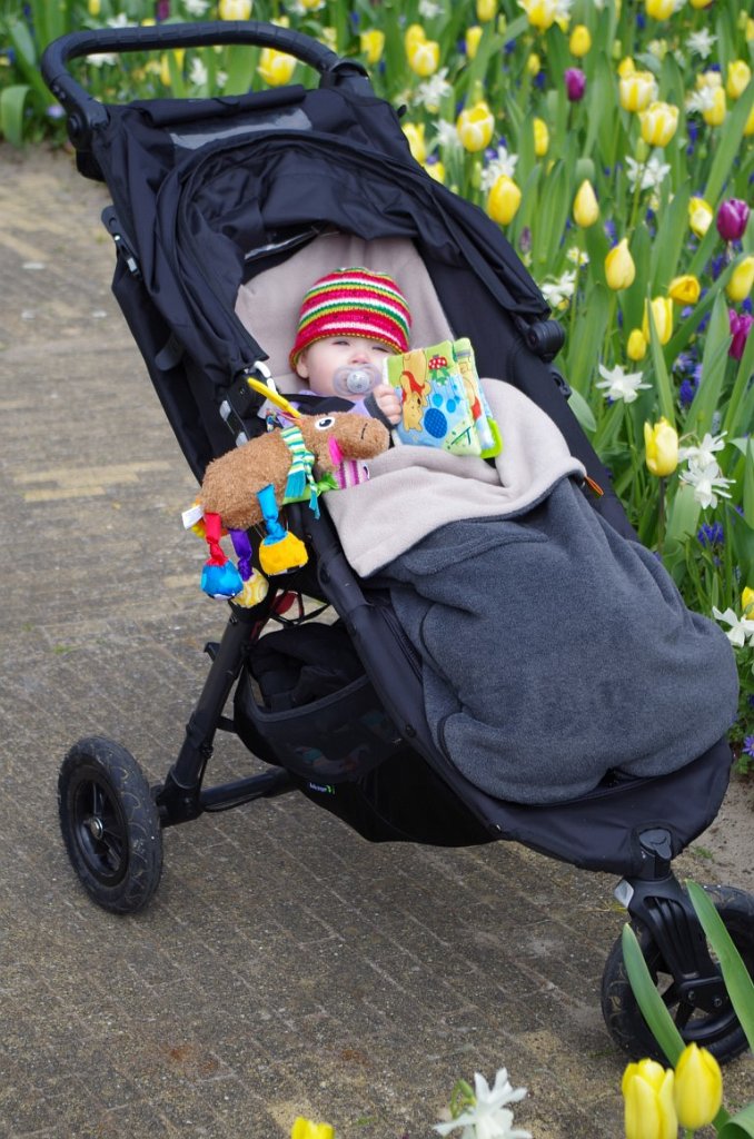 2017_0422_062014.JPG - Keukenhof Lisse