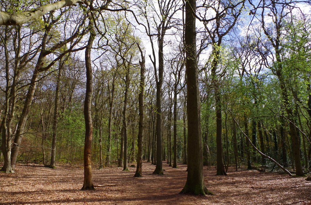 2017_0426_013957.JPG - Bergerbos