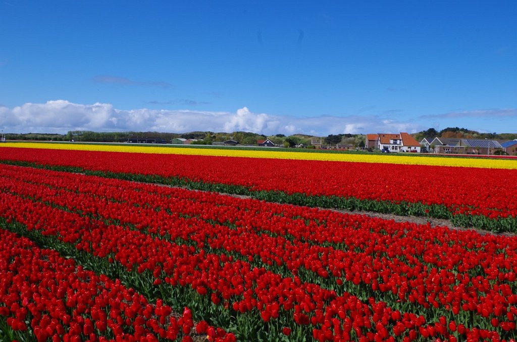 2017_0428_014624.JPG - Egmond aan den Hoef