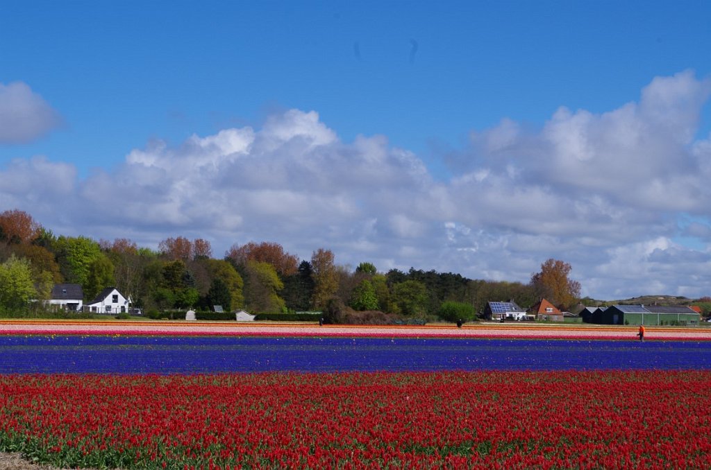 2017_0428_015237.JPG - Egmond aan den Hoef