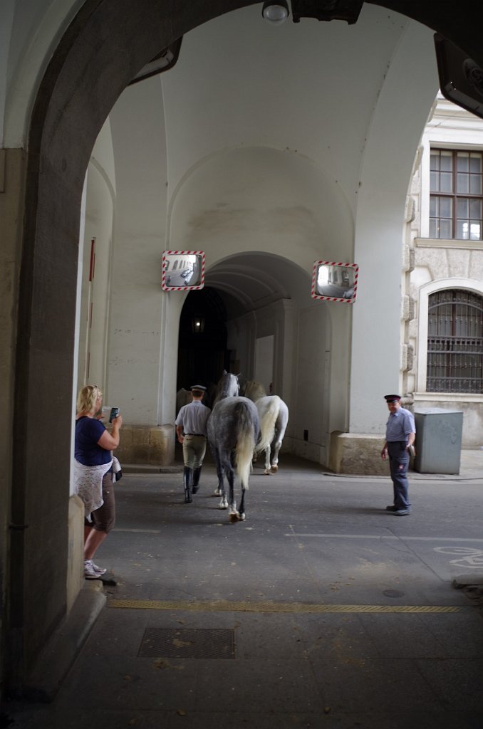 2017_0901_121651.JPG - Spanish Riding School