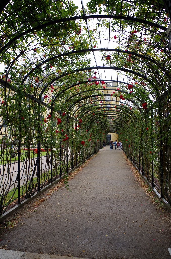 2017_0901_150350.JPG - Schoenbrunn