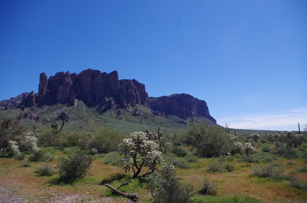 2017_0311_102442.JPG - Lost Dutchman State Park