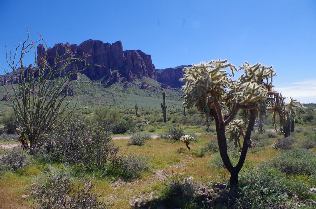 2017_0311_102534(2).JPG - Lost Dutchman State Park