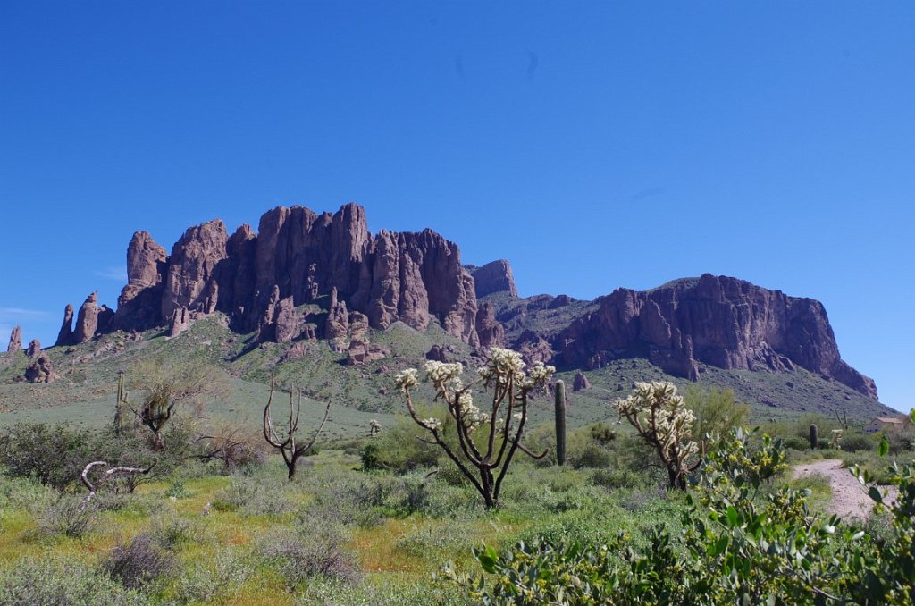 2017_0311_111133.JPG - Lost Dutchman State Park