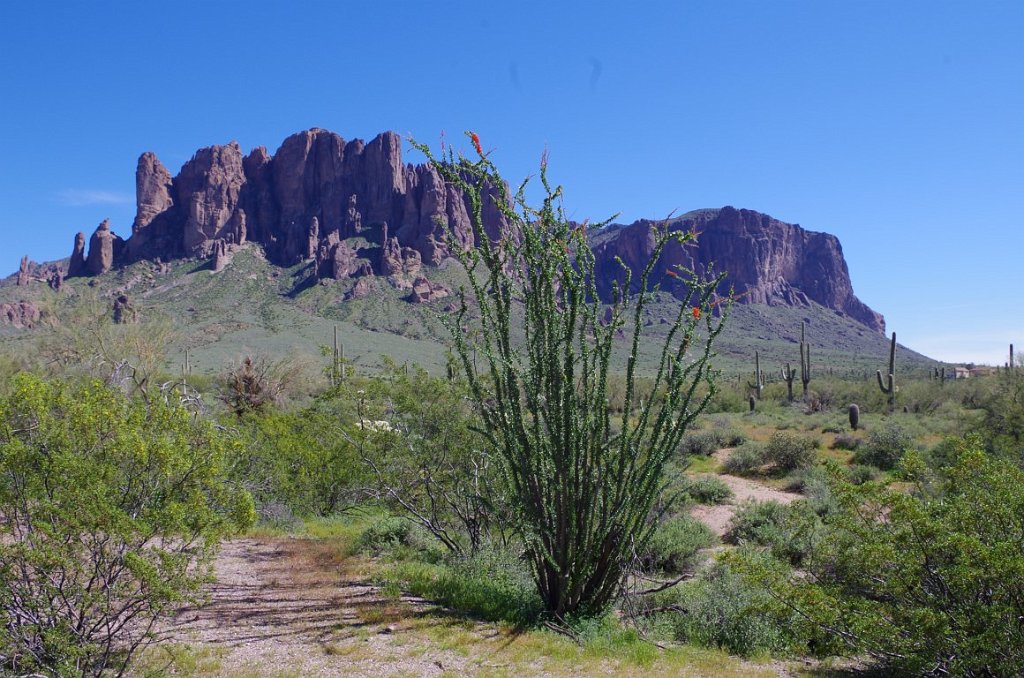 2017_0311_112212.JPG - Lost Dutchman State Park