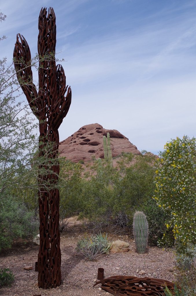 2017_0409_102914.JPG - Desert Botanical Garden