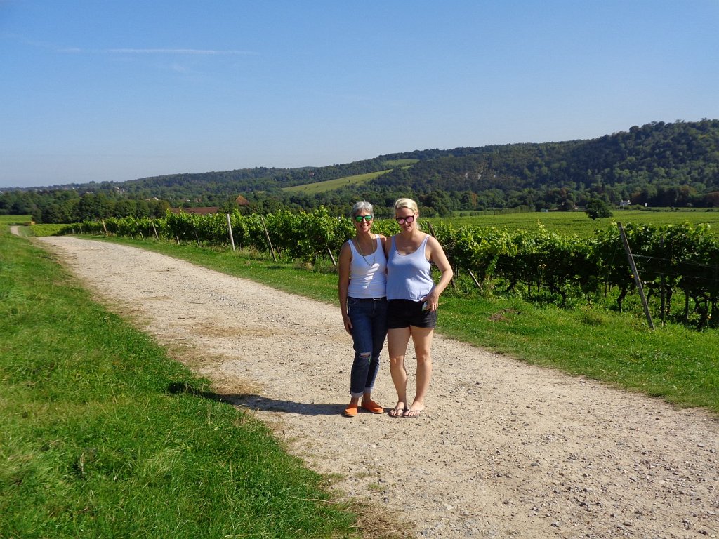 2017_0827_110828.JPG - Reigate vineyard