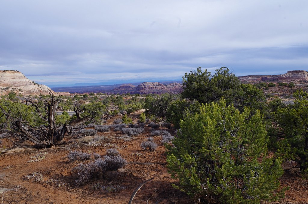 2018_0323_084136.JPG - Canyonlands Island in the Sky - Shafer Canyon