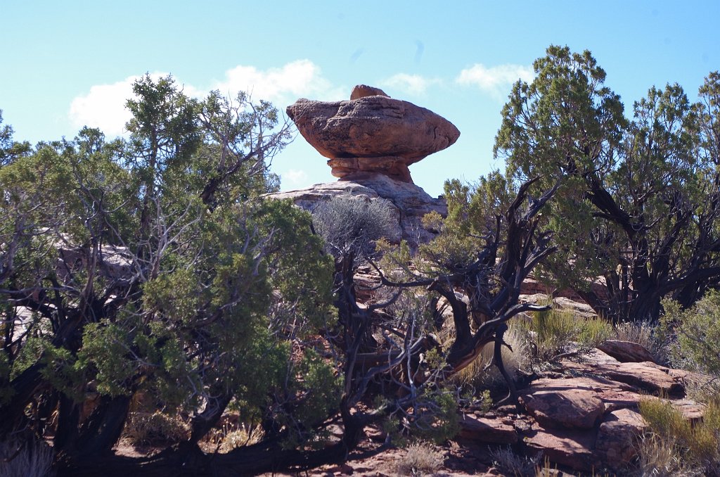 2018_0323_100328.JPG - Canyonlands Island in the Sky - Grand View Point