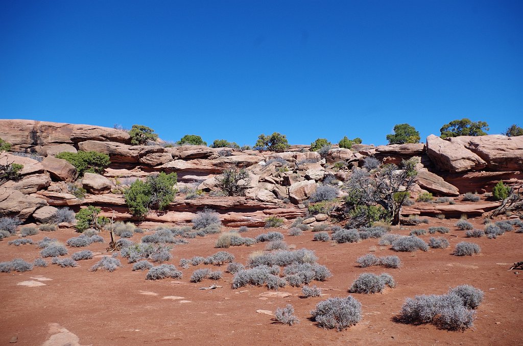 2018_0323_104153.JPG - Canyonlands Island in the Sky - Grand View Point