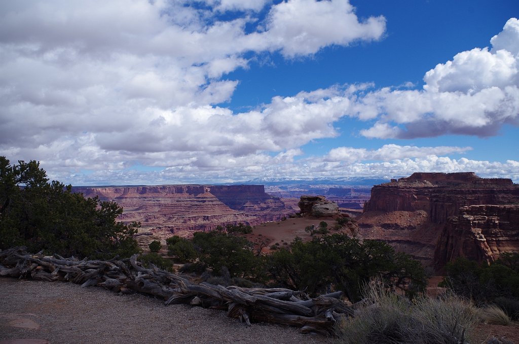 2018_0323_115217.JPG - Canyonlands Island in the Sky - Shafer Canyon