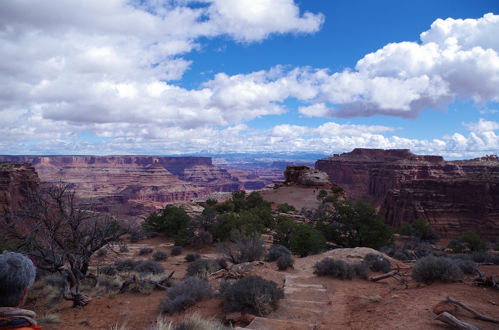 2018_0323_115252.JPG - Canyonlands Island in the Sky - Shafer Canyon