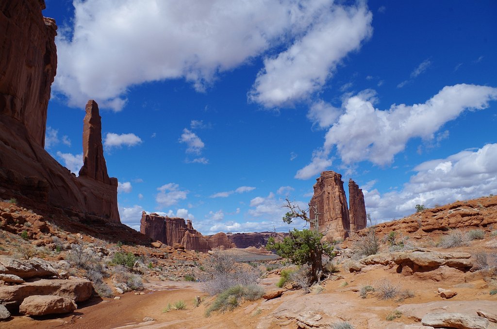 2018_0323_134548.JPG - Arches - Park Avenue