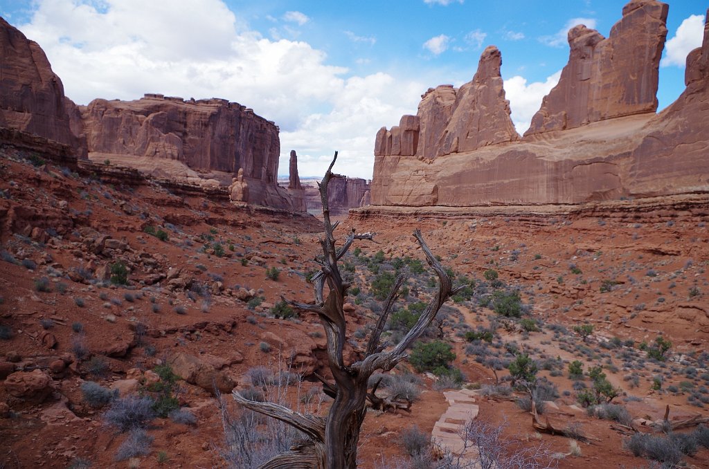 2018_0323_141225.JPG - Arches - Park Avenue