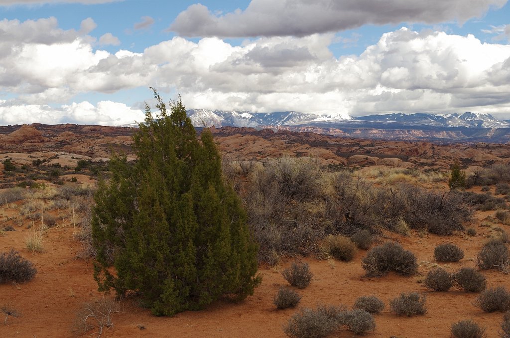 2018_0323_143209.JPG - Arches - Petrified Dunes