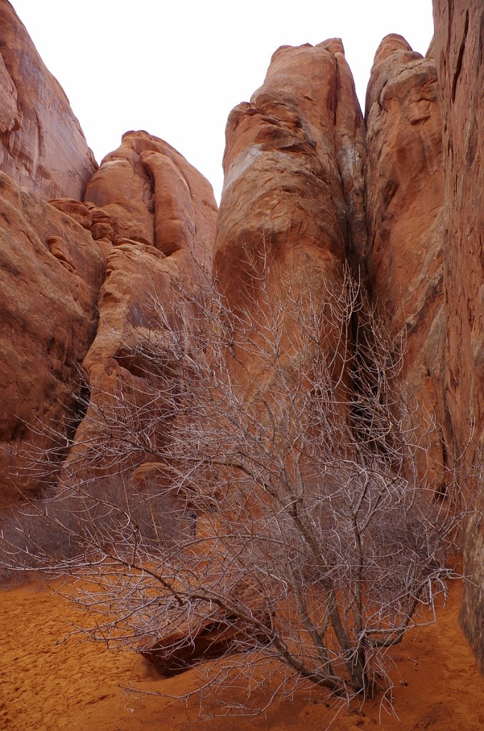 2018_0324_092412.JPG - Arches - Sand Dune Arch