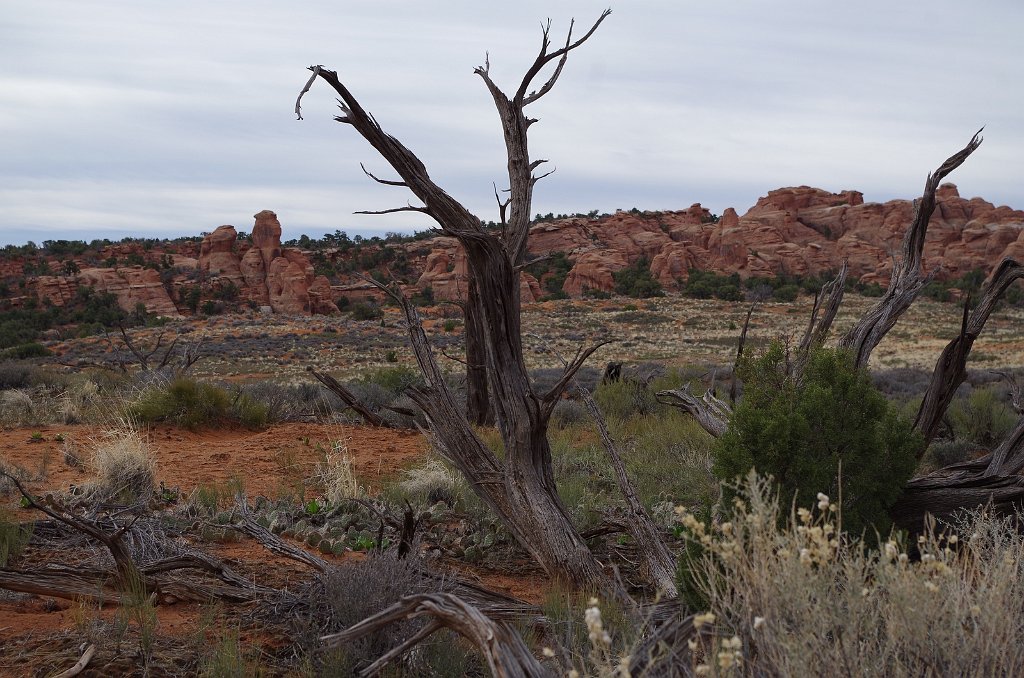 2018_0324_094206.JPG - Arches - Broken Arch