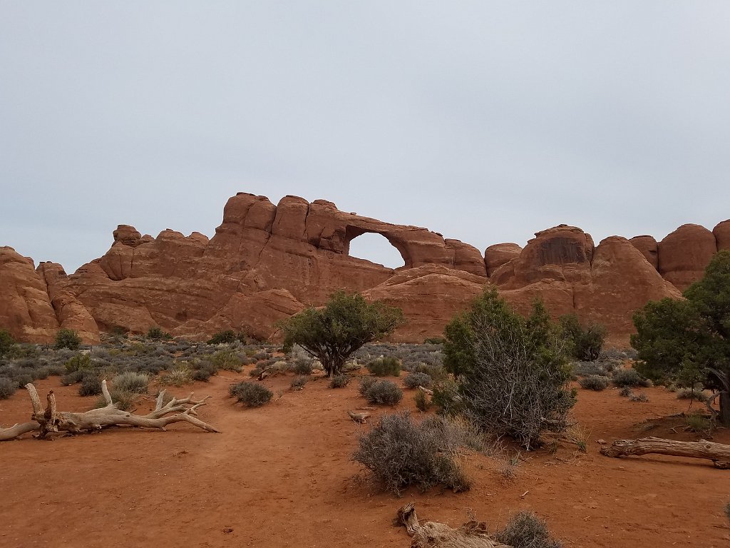 2018_0324_101605.jpg - Arches - Skyline Arch