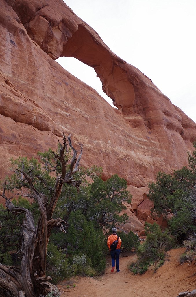 2018_0324_102100.JPG - Arches - Skyline Arch