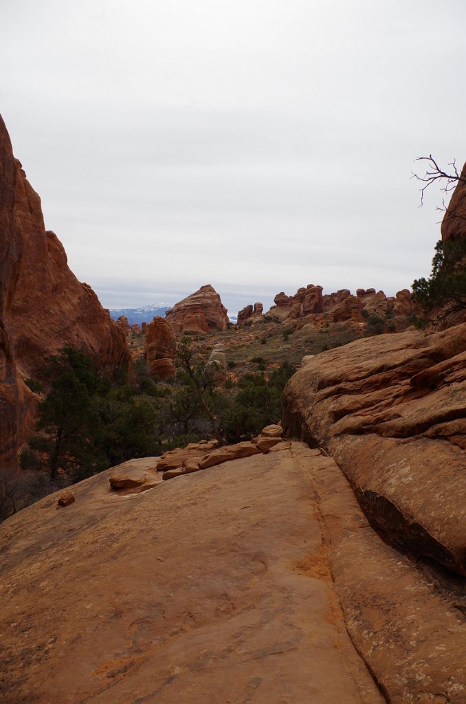 2018_0324_110839.JPG - Arches - Devils Garden Trail