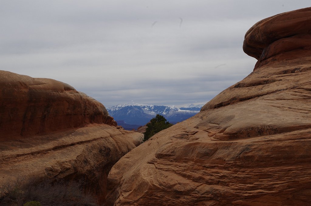 2018_0324_112138.JPG - Arches - Devils Garden Trail