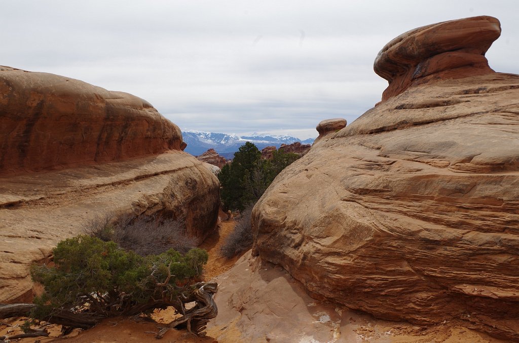 2018_0324_112147.JPG - Arches - Devils Garden Trail