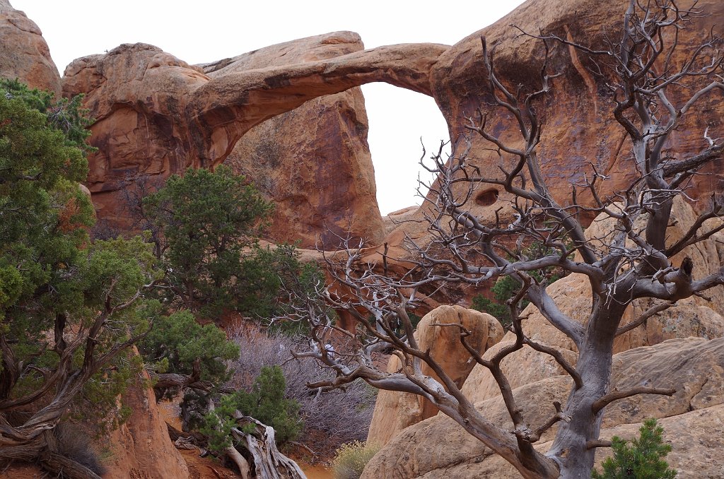 2018_0324_120002.JPG - Arches - Double O Arch