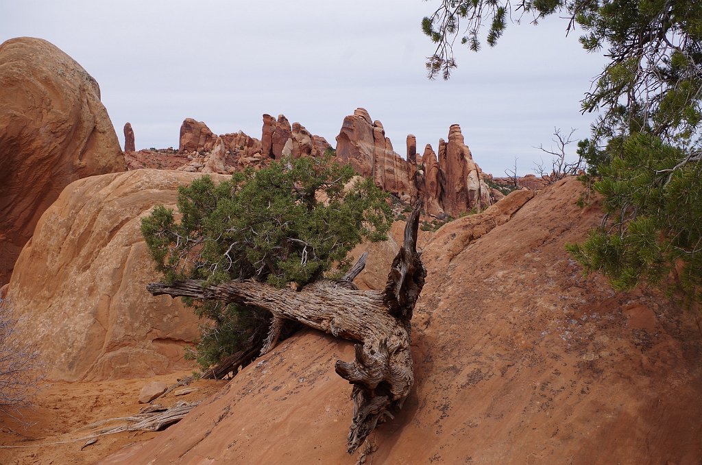 2018_0324_120758.JPG - Arches - Devils Garden Trail