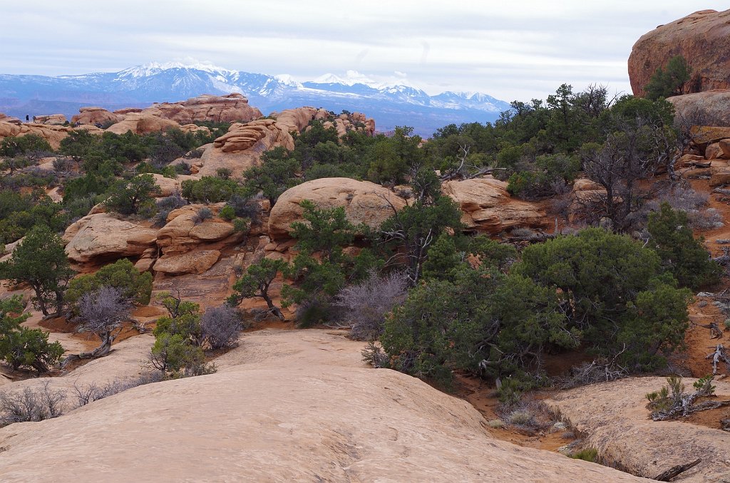 2018_0324_122001.JPG - Arches - Devils Garden Trail