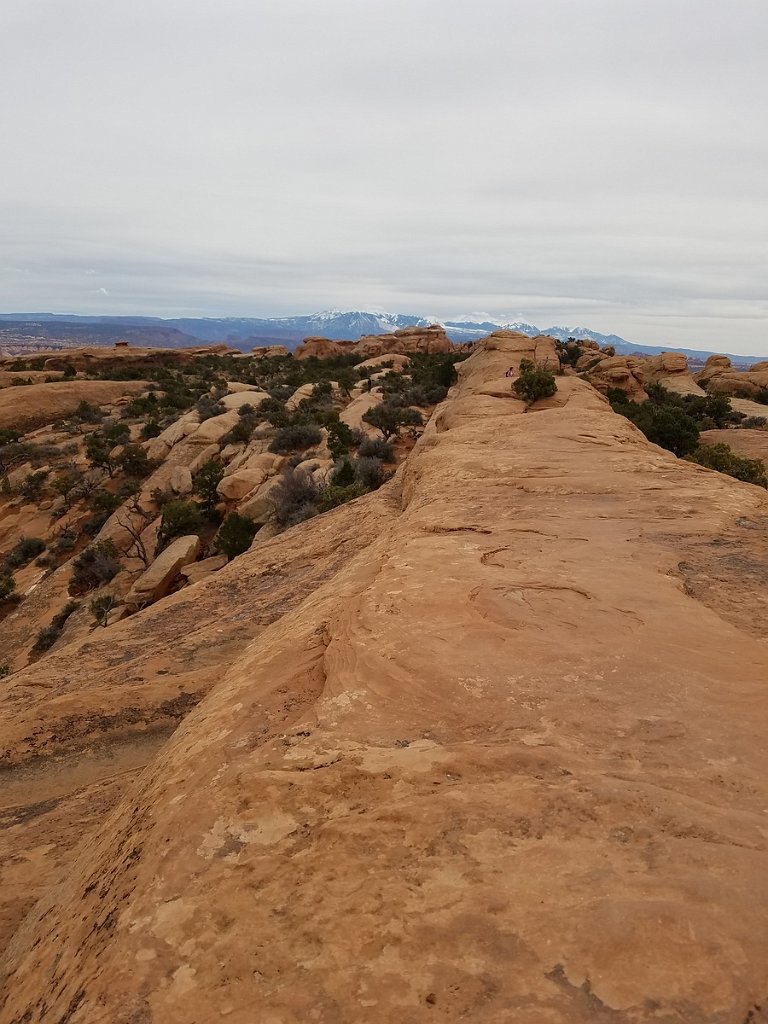 2018_0324_122626.jpg - Arches - Devils Garden Trail