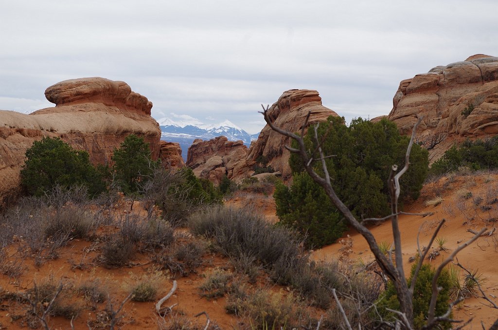 2018_0324_123811.JPG - Arches - Devils Garden Trail