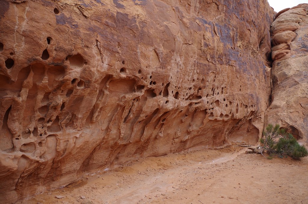 2018_0324_124256.JPG - Arches - Devils Garden Trail