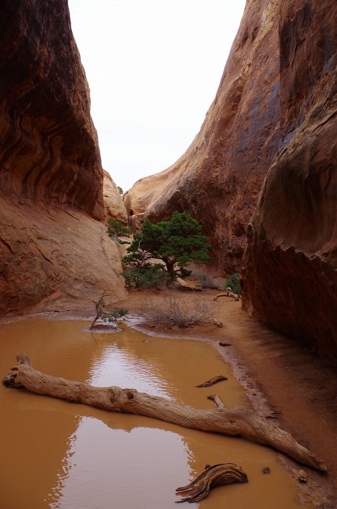 2018_0324_124503.JPG - Arches - Devils Garden Trail