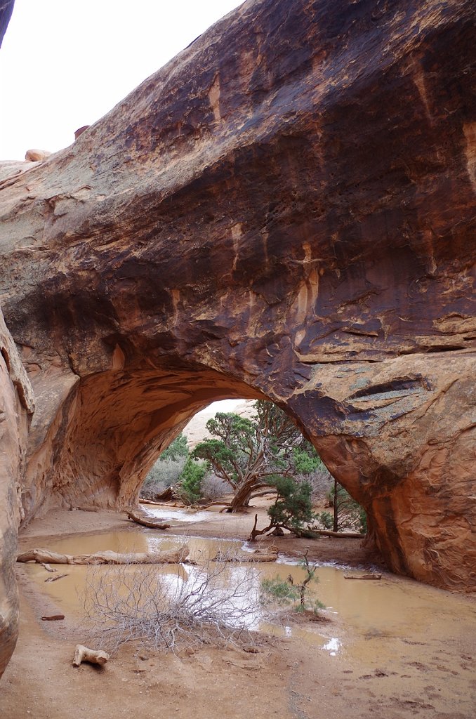 2018_0324_124539.JPG - Arches - Navajo Arch