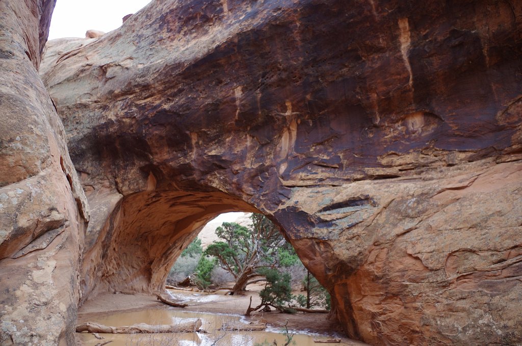 2018_0324_124544.JPG - Arches - Navajo Arch