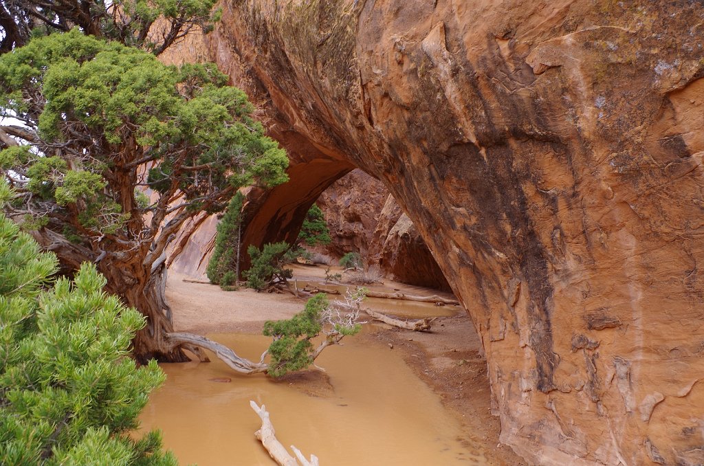 2018_0324_124746.JPG - Arches - Navajo Arch