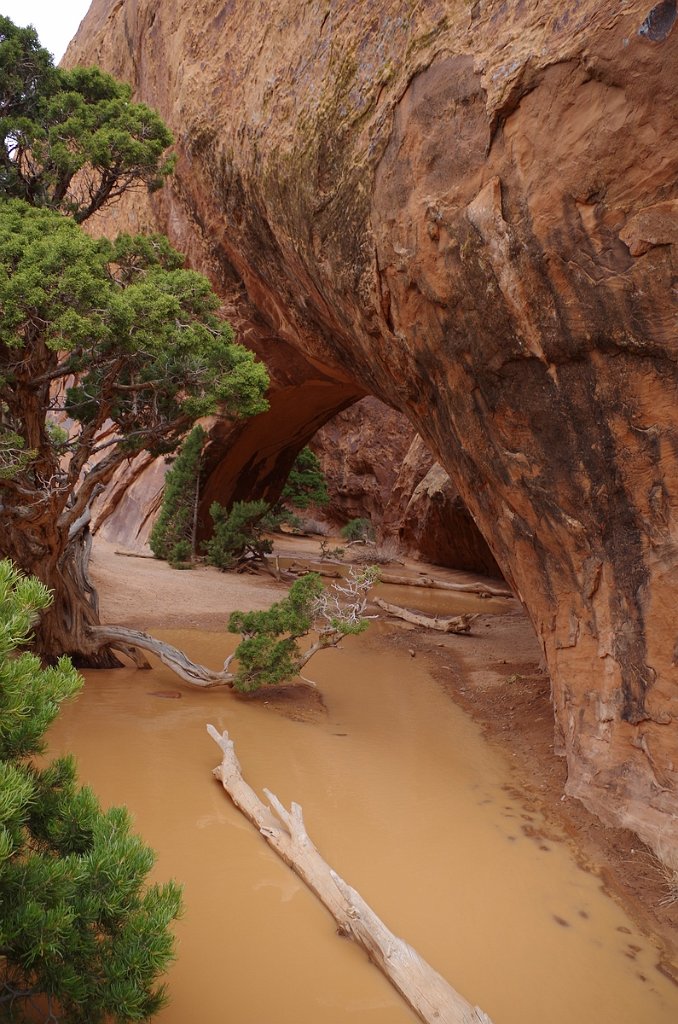 2018_0324_124753.JPG - Arches - Navajo Arch