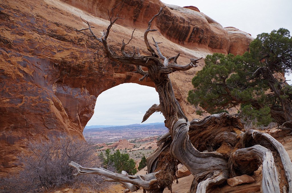 2018_0324_130647.JPG - Arches - Partition Arch